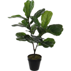 Mica Decorations Artificial Ficus Lyrata Plant -  h75xd60cm,