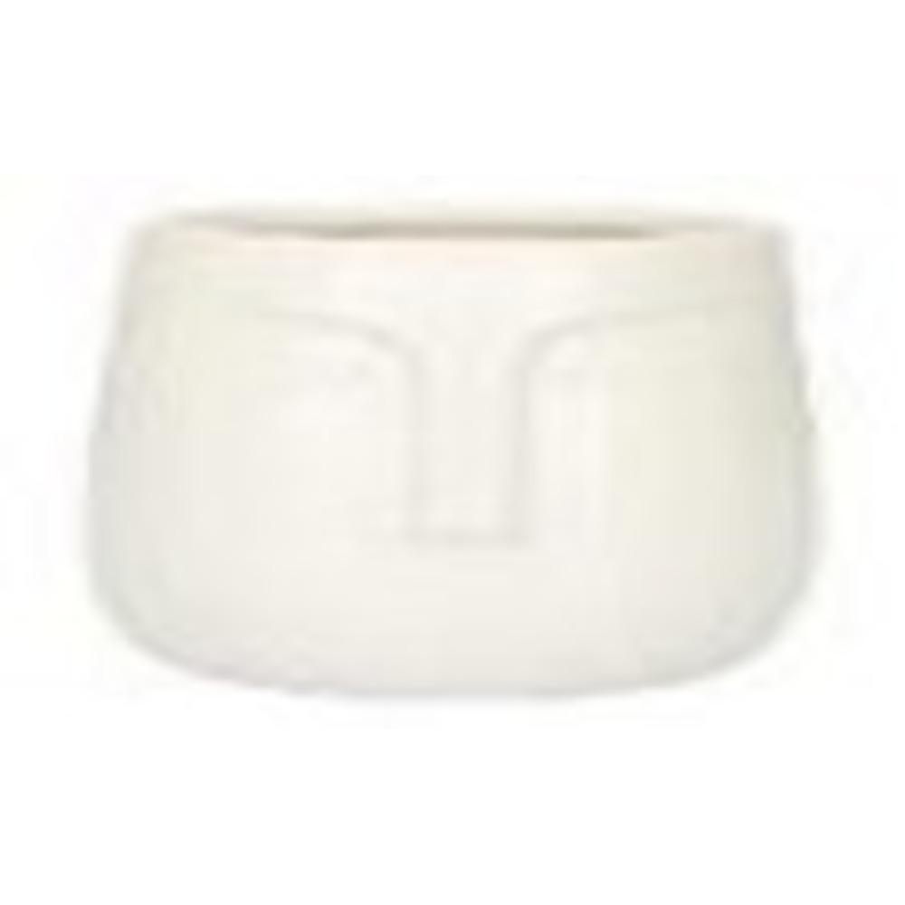 Homla Face Plant Pot White 10X11 cm