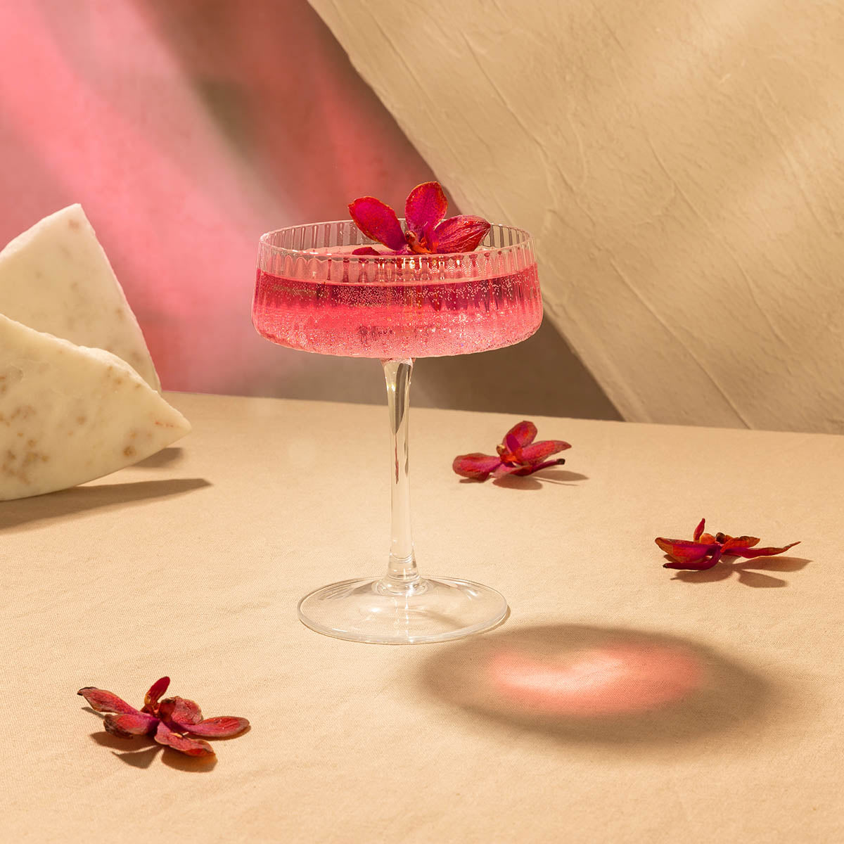 Homla Megalo Cocktail Glass Transparent 0,2L