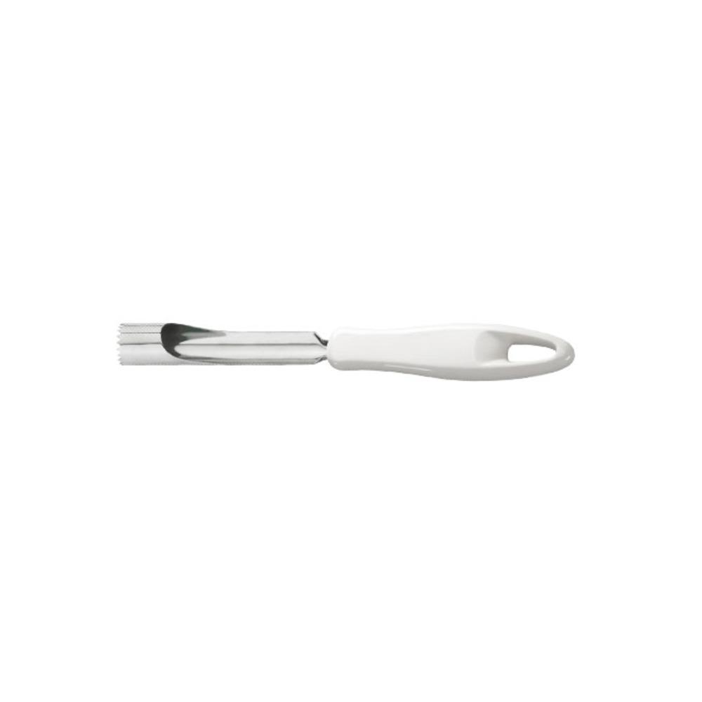Tescoma Presto Fish Scraper ,,