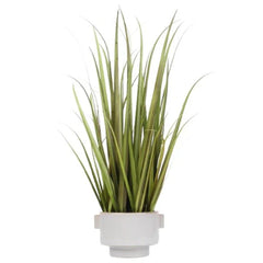 Homla Artificial Grass Plant