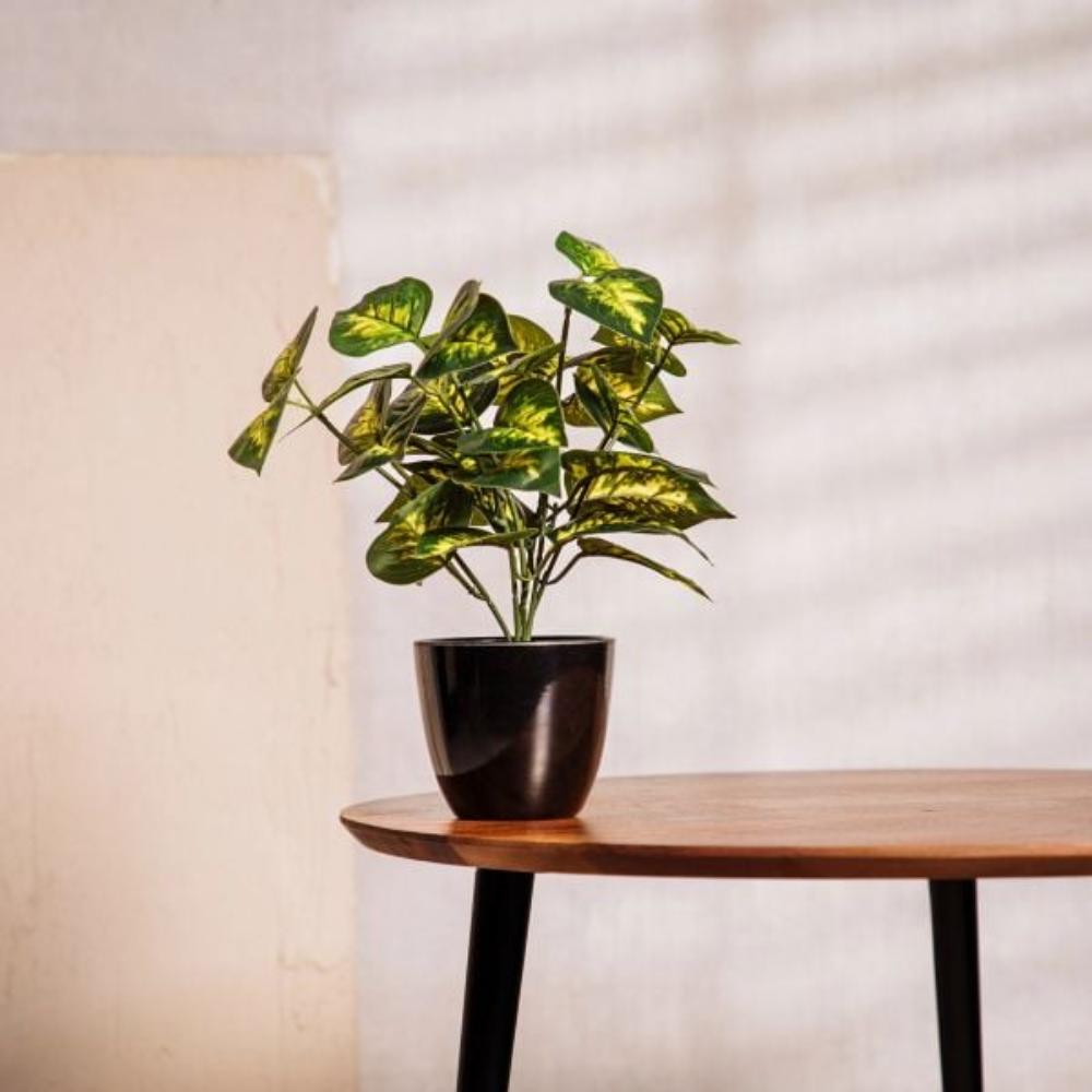 Homla Artificial Plant  Edera  In Pot  28 Cm
