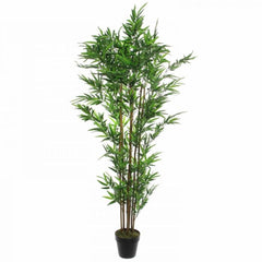 Mica Decorations Bamboo Artificial Plant - H180 x Ø80 cm - Green