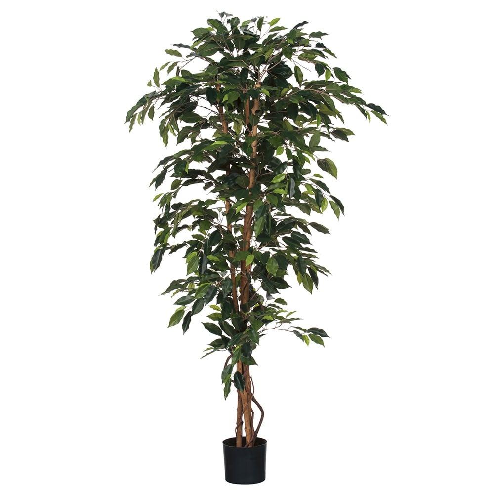 Mica Decorations Ficus Artificial Plant - H170 x Ø80 cm - Green