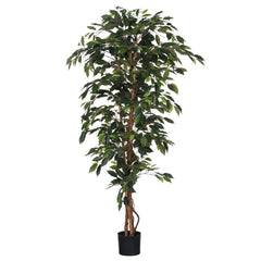 Mica Decorations Ficus Artificial Plant - H170 x Ø80 cm - Green