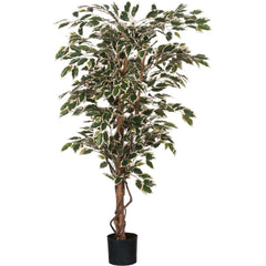 Mica Decorations Ficus Artificial Plant - H170 x Ø80 cm - Green Variegated