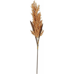 Mica Decorations Pampas Grass Terra - L88cm