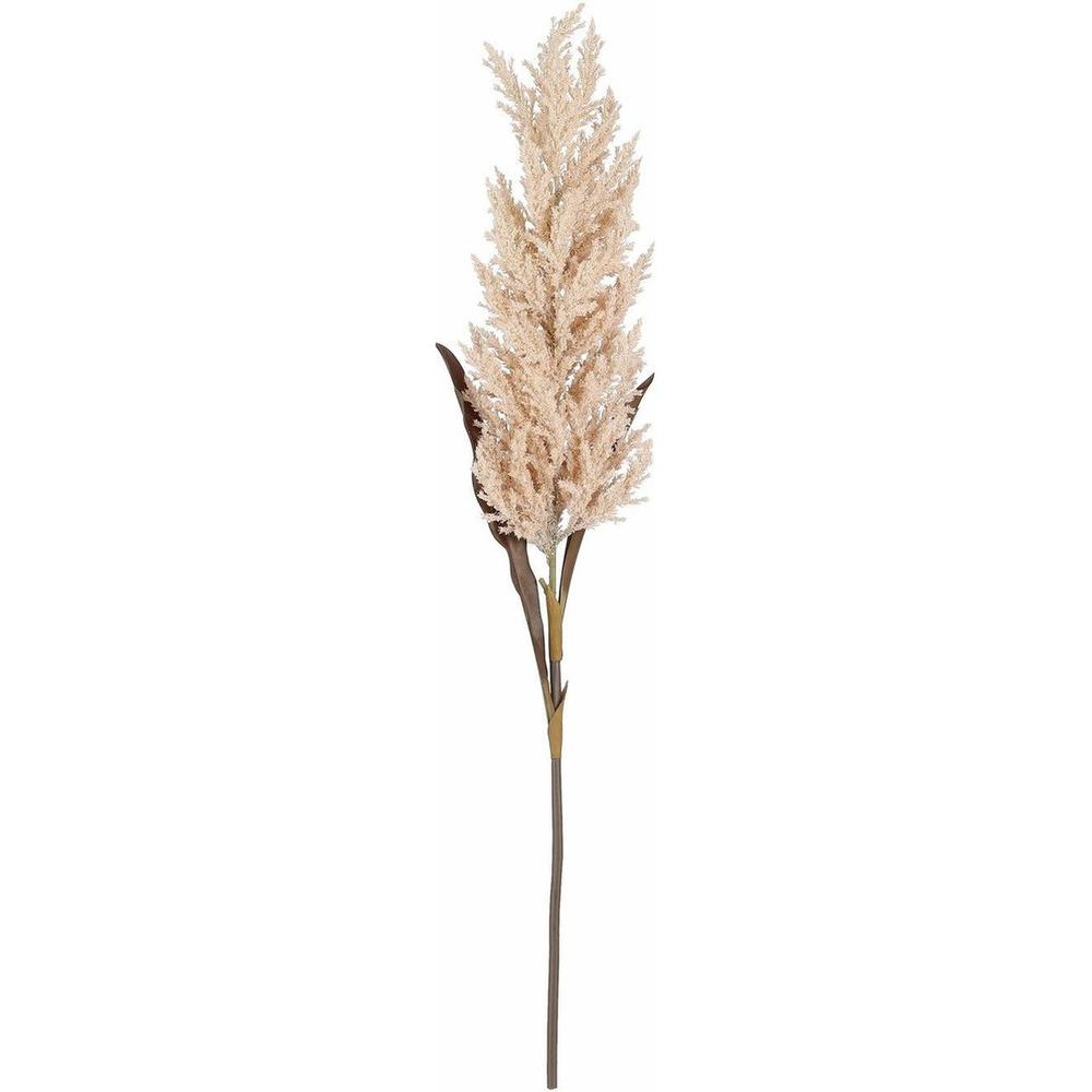 Mica Decorations Pampas Grass Peach - L88cm