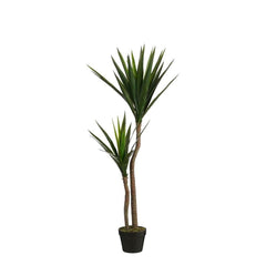 Mica Decorations Yucca In Pot Green - H120 x D70cm