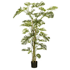 Mica Decorations Monstera In Pot Green - H190 x D145cm