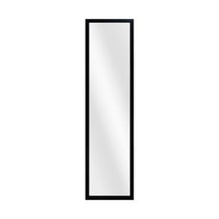 Inspire Mirror Door Black 30X120Cm