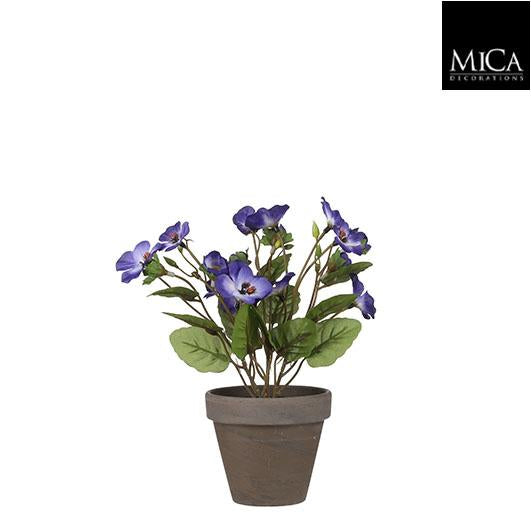 Pansy Purple In Pot Stan Grey D9Cm - H19Xd20Cm