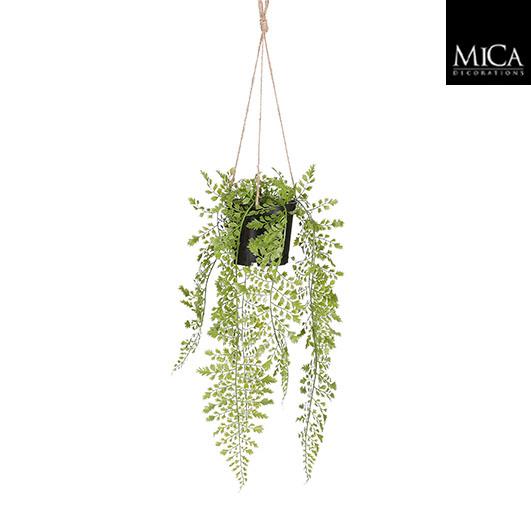 Adiantum Hanging In Pot Green - L47Xd20Cm