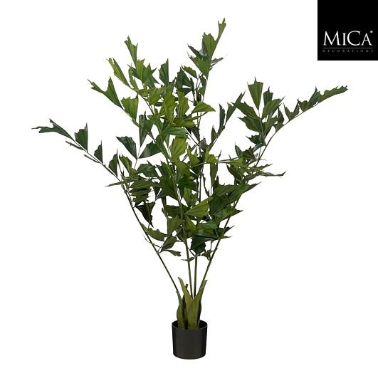 Fishtail Palm In Pot Green - H150Xd100Cm
