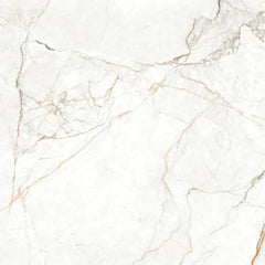 P083811