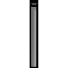 P085098