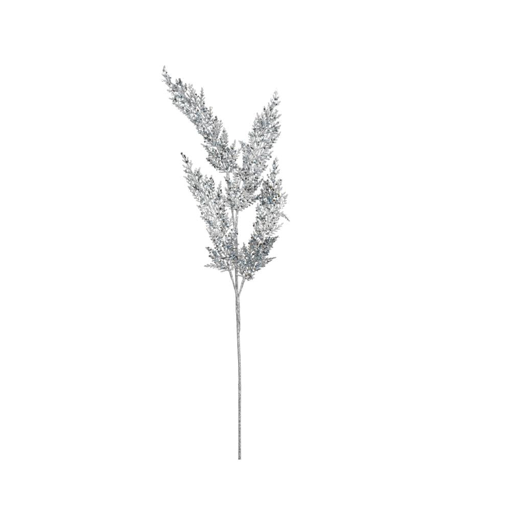 P085244