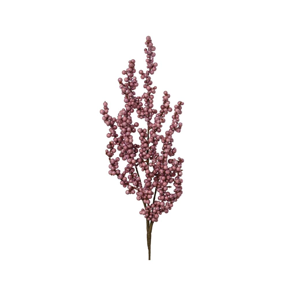 P085259