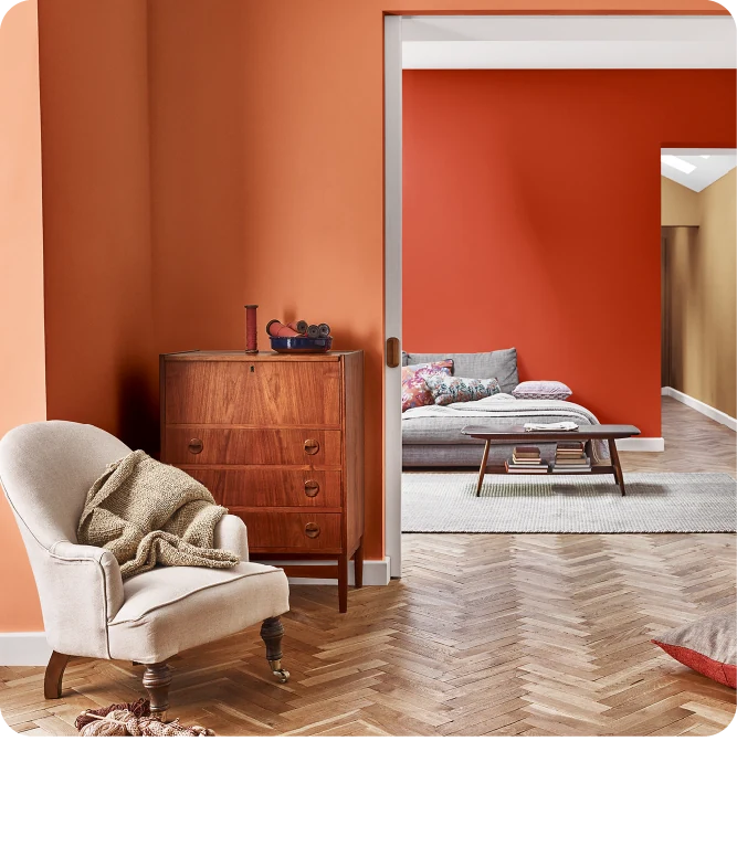 Paint & Construction