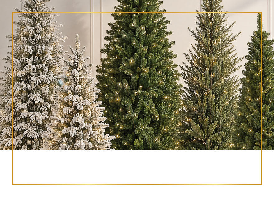 Christmas Trees